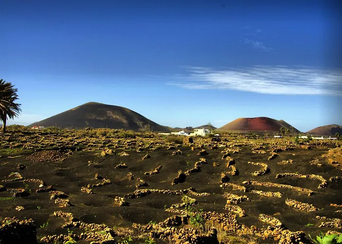 Casa Perdomo Nyaraló *
